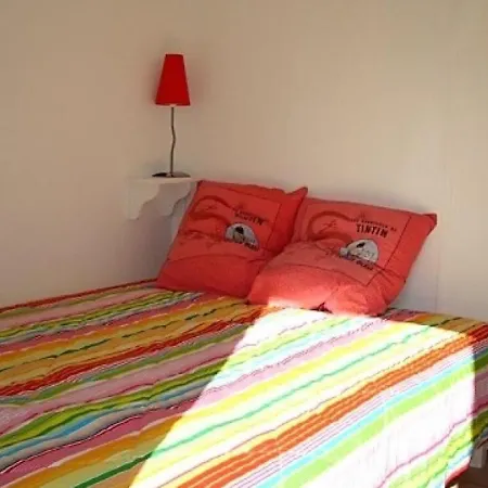 Maison Arcachon, 3 Pieces, 5 Personnes - Fr-1-420-80 * Arcachon
